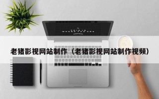 莘县老猪影视网站制作（老猪影视网站制作视频）