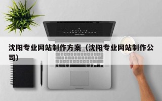 莘县沈阳专业网站制作方案（沈阳专业网站制作公司）